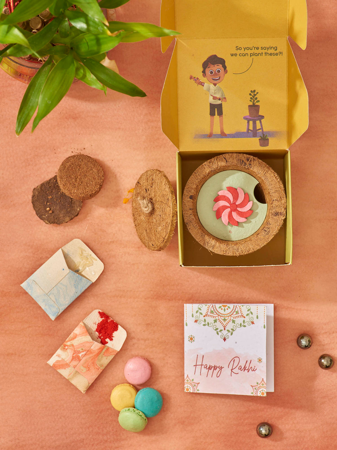 Plantables Wheely Wonka Rakhi Planting Kit