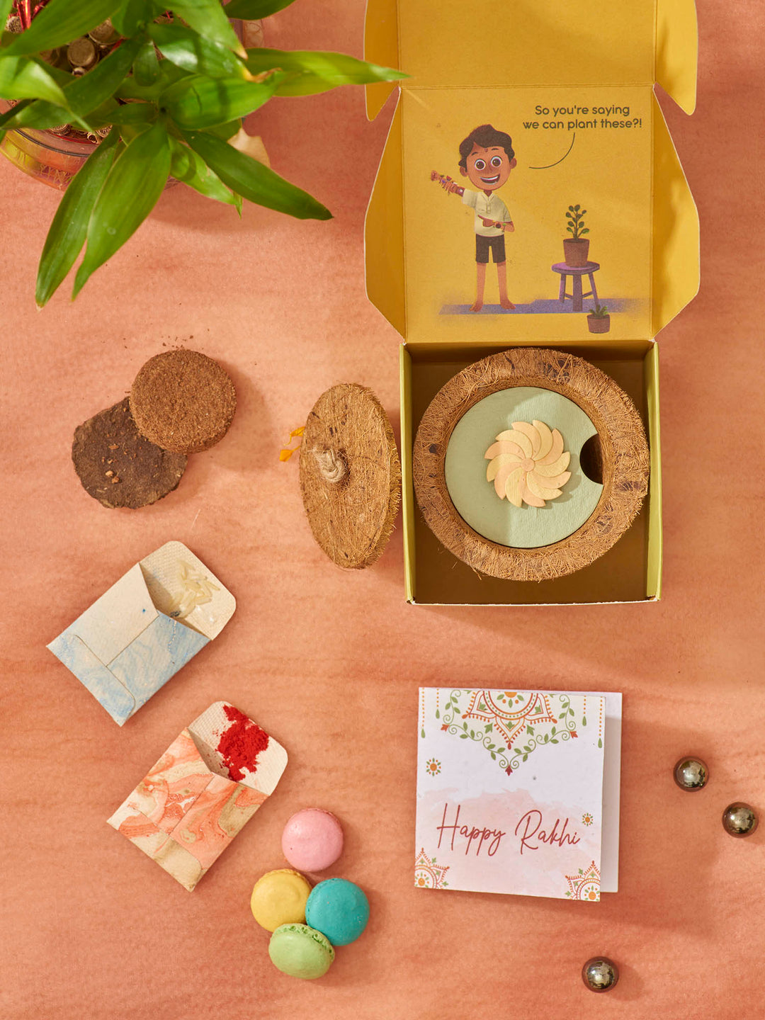 Plantables Wheely Wonka Rakhi Planting Kit