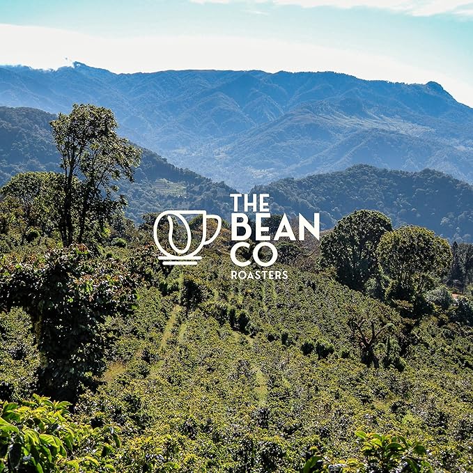 The Bean Co Roasters Espresso Blend | Medium To Dark Roast | 80% Arabica & 20% Robusta | Roasted Coffee Ground