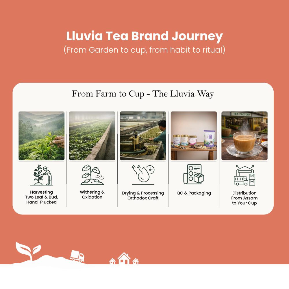 Lluvia Tea Peach Blossom Tea - Antioxidant Rich | Improves Skin Health | Mood Enhancement (50 gm)