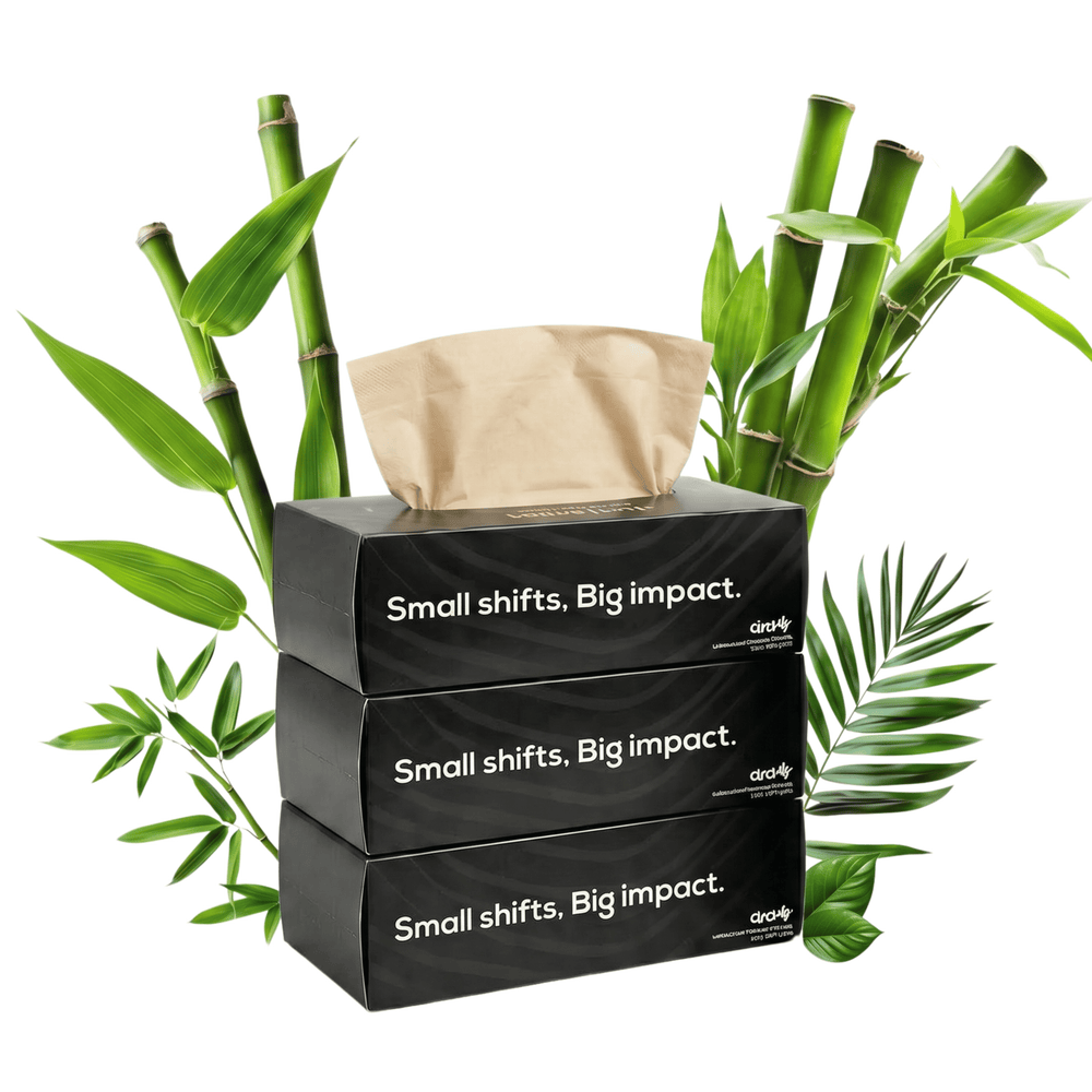 Bamboo Facial Tissues Black (2 Ply | 100 Pulls) (Pack of 3)