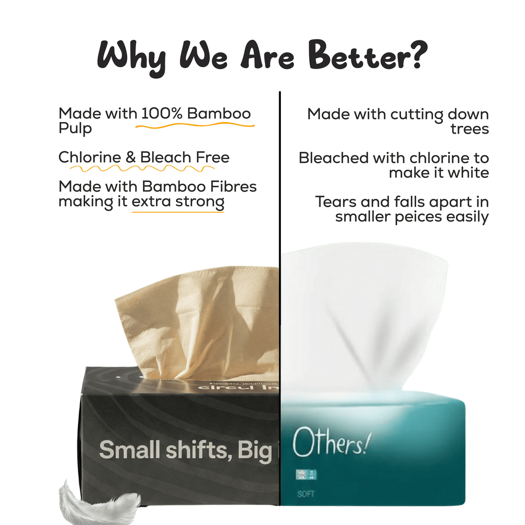 Bamboo Facial Tissues Black (2 Ply | 100 Pulls) (Pack of 10)