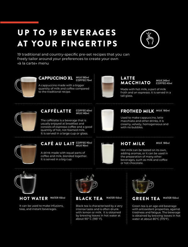 Gaggia Accademia Stainless Steel - One Touch Cappuccino Beans & Grounds Coffee Machine