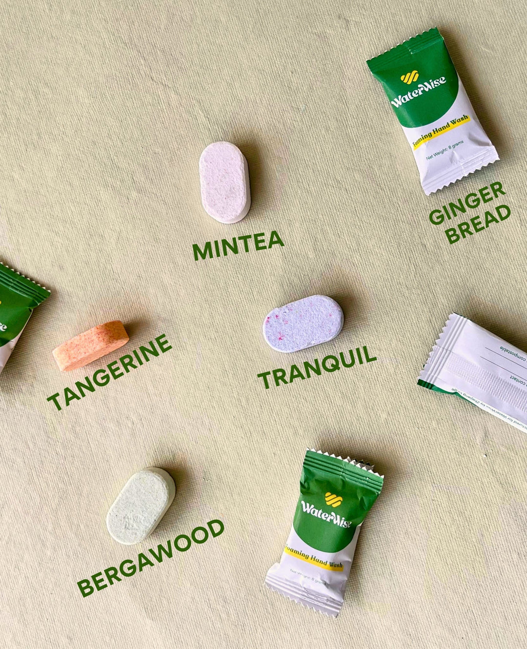 Foaming Hand Wash Starter Kit - Duo