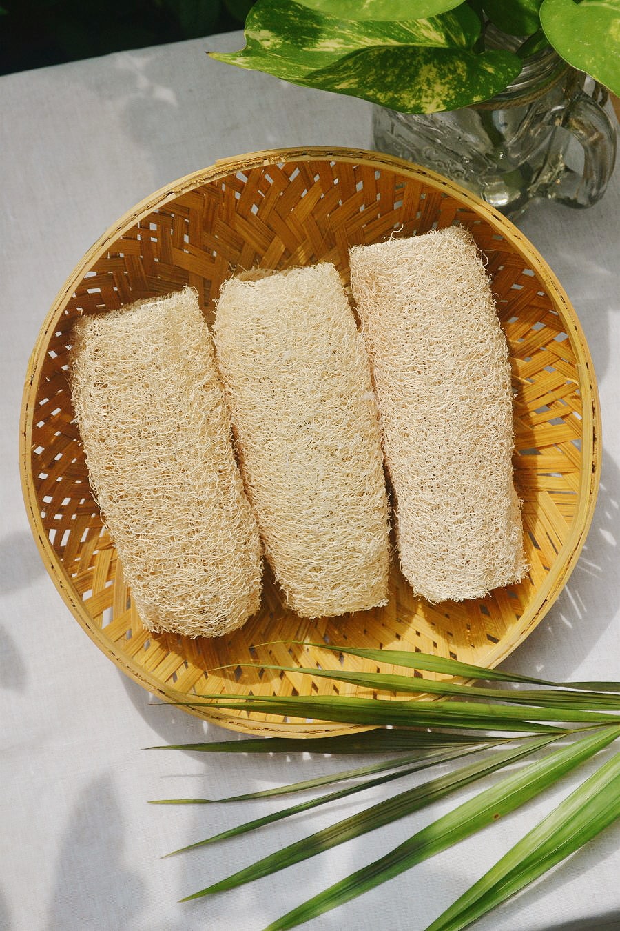 Almitra Sustainables Loofah Sponge – Natural Bathing Scrub (Pack of 3)