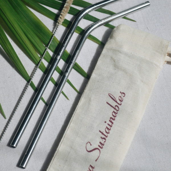 Almitra Sustainables Stainless Steel straw (Bent) Pack of 2 with 1 Cleaner