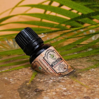 CannazoIndia® Pain Aid - Pain Relief Ayurvedic Oil | 15ml - 3000mg | Premium Medicine For Heavy Pain, Arthritis, Joint Pain |100% Natural Wellness, Vijaya Leaf Extract + Hemp Seed Oil