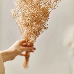 White Baby’s Breath Dried Flowers for Vase | Gypsophila Decor