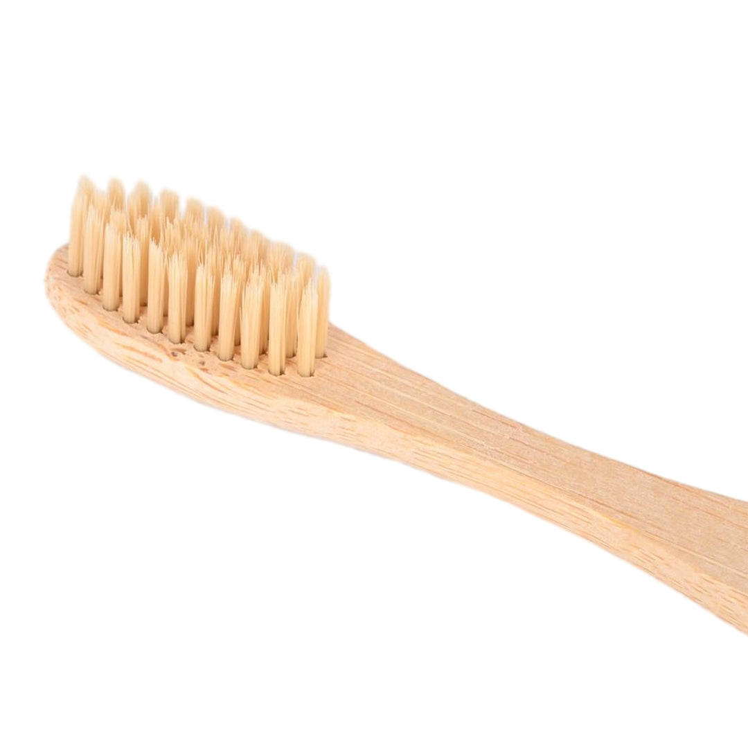 Bamboology Trends Bamboo Toothbrush With Plant Based Bristles | Pack of 3 - Suspire