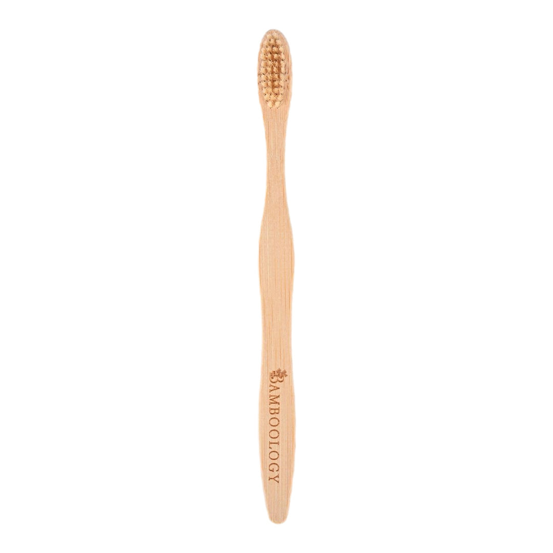 Bamboology Trends Bamboo Toothbrush With Plant Based Bristles | Pack of 3 - Suspire