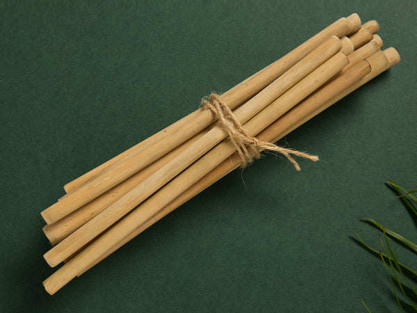 Bamboo Straw with cotton Pouch | 4 Straws & 1 Cleaner | Reusable Natural & Handcrafted
