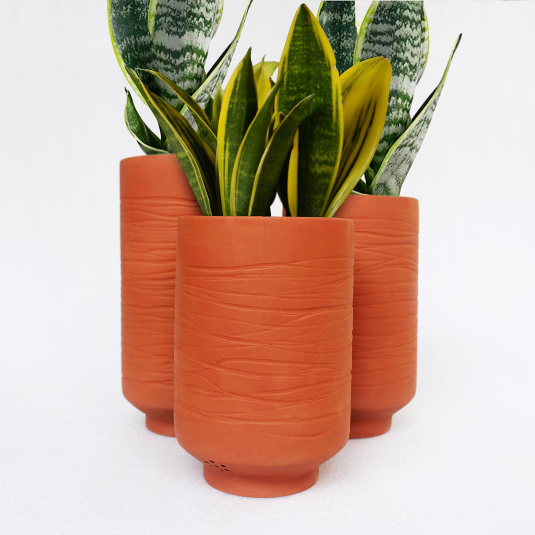 BARREL (L) Terracotta Planters LARGE - Suspire