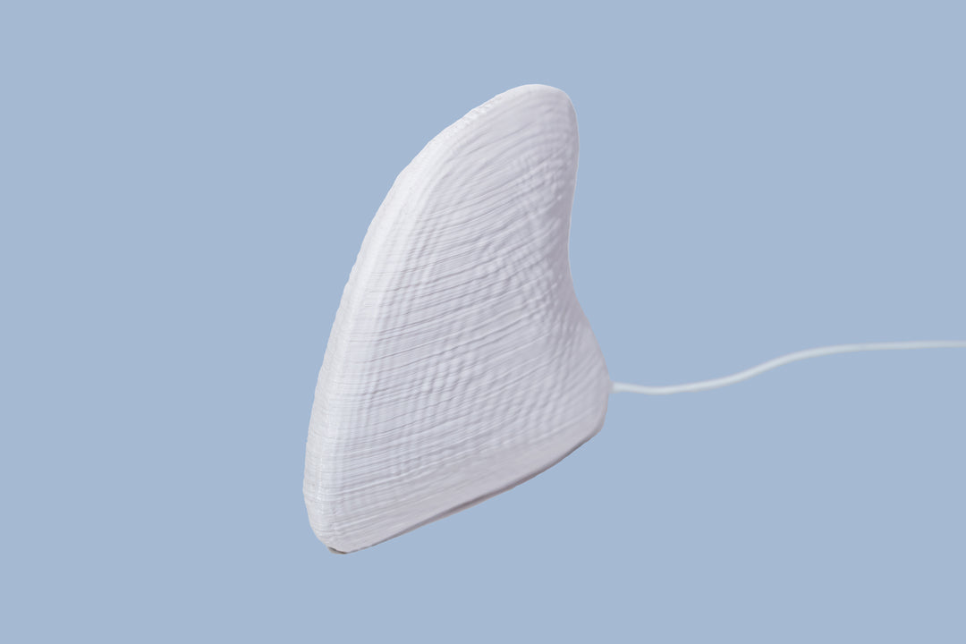 Albino Clam Table Lamp | Designer LED Table Light