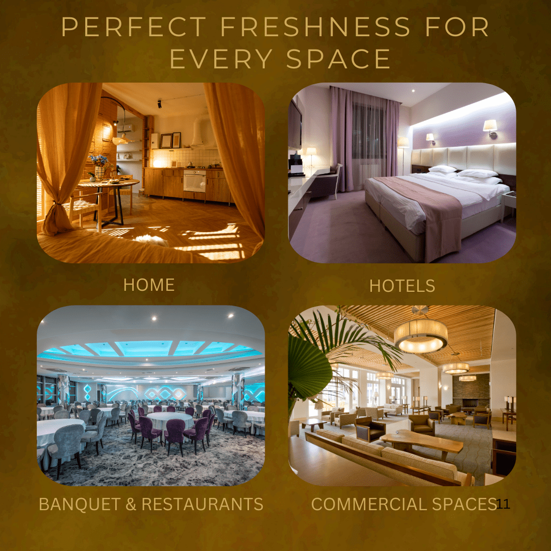 BeeGreen Room Freshener Spray Combo of 2 500ml Each Lemon Fresh Forest Woody - Suspire