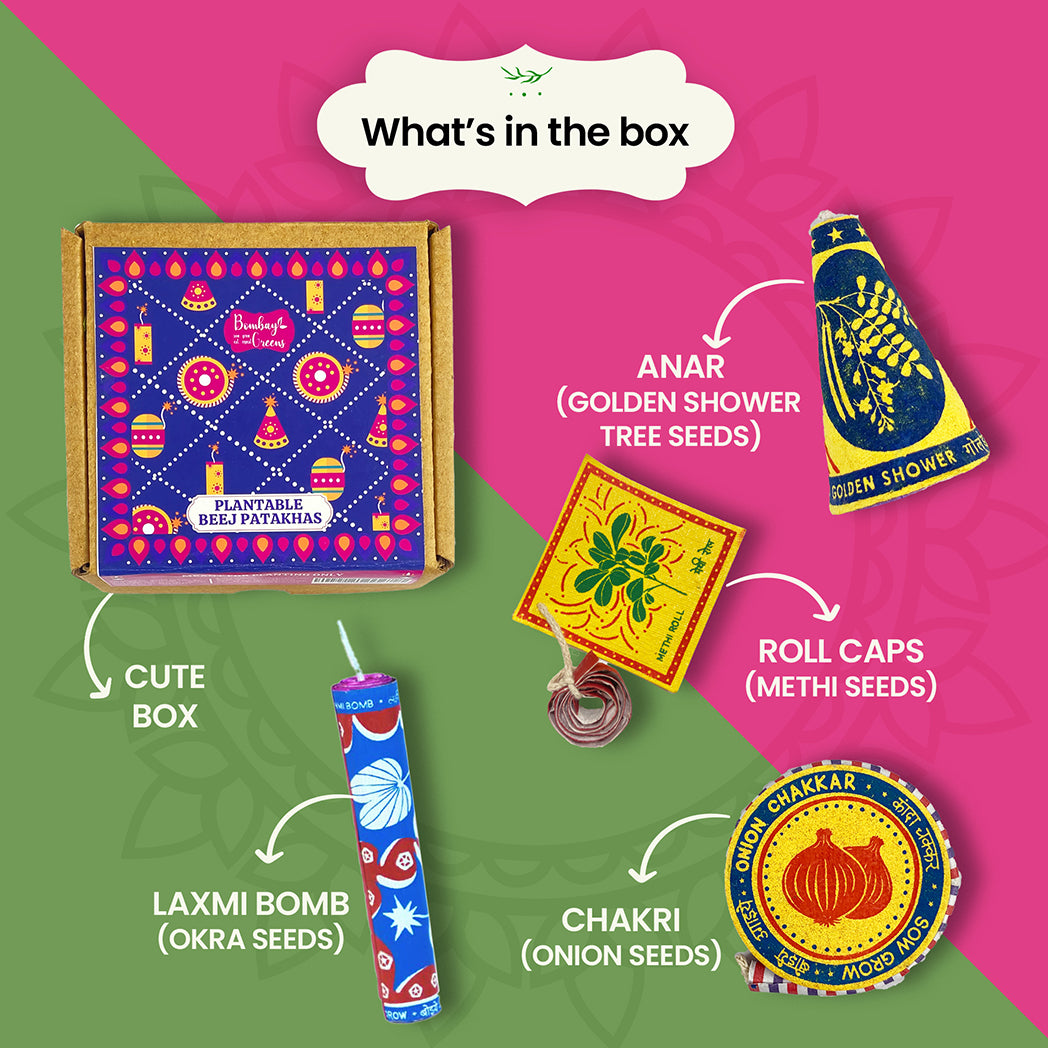 Bombay Greens 4 in 1 Beej Patakhas - Plantable Cracker Diwali Gift Hamper