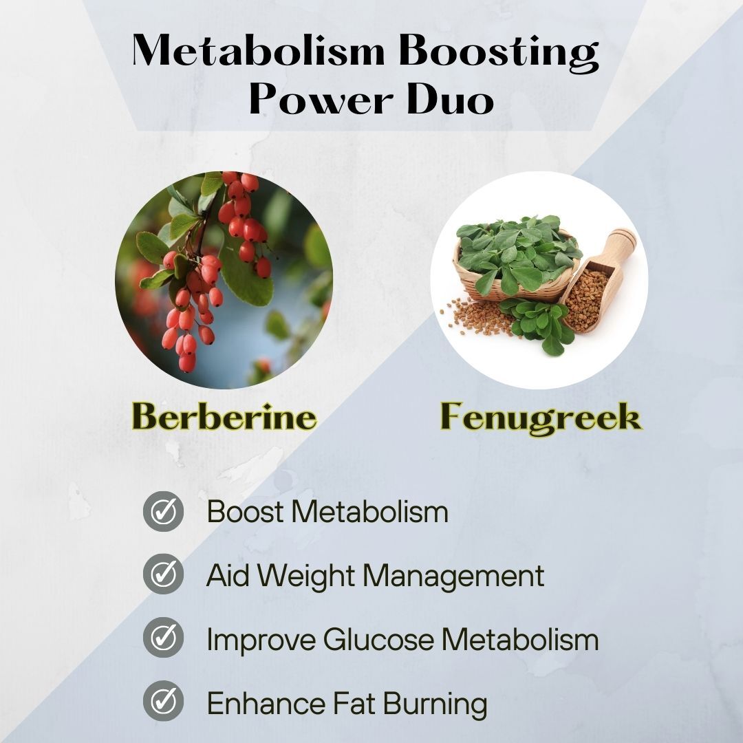 Pure Nutrition BERBERINE 98% supplement with Jamubeej, Karela, Fenugreek extract -Helps in weight management, Balance sugar level & Support Heart Health - 60 Veg tablet