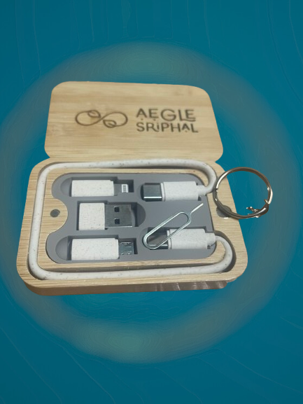Bamboo Travel Charger Kit