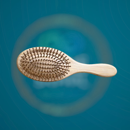 Aegle Sriphal Bamboo Hairbrush