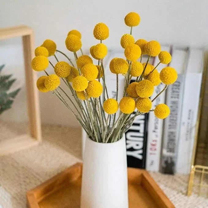 Yellow Billy Balls & Eucalyptus Dried Flower Bunch | Natural Vase Filler Decor