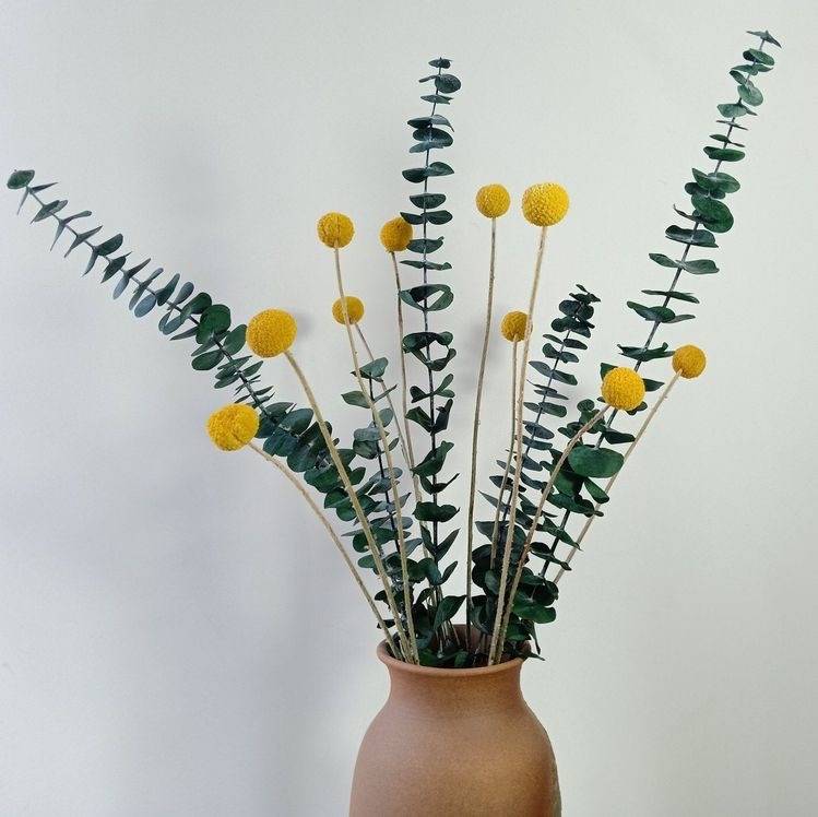 Artecasa Yellow Billy Balls & Eucalyptus Dried Flower Bunch | Natural Vase Filler Decor