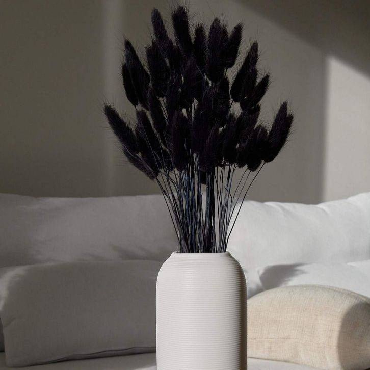 Artecasa Black Bunny Tails Dried Flowers for Vase | Natural Lagurus Decor