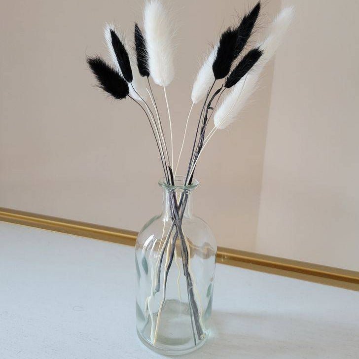 Black Bunny Tails Dried Flowers for Vase | Natural Lagurus Decor