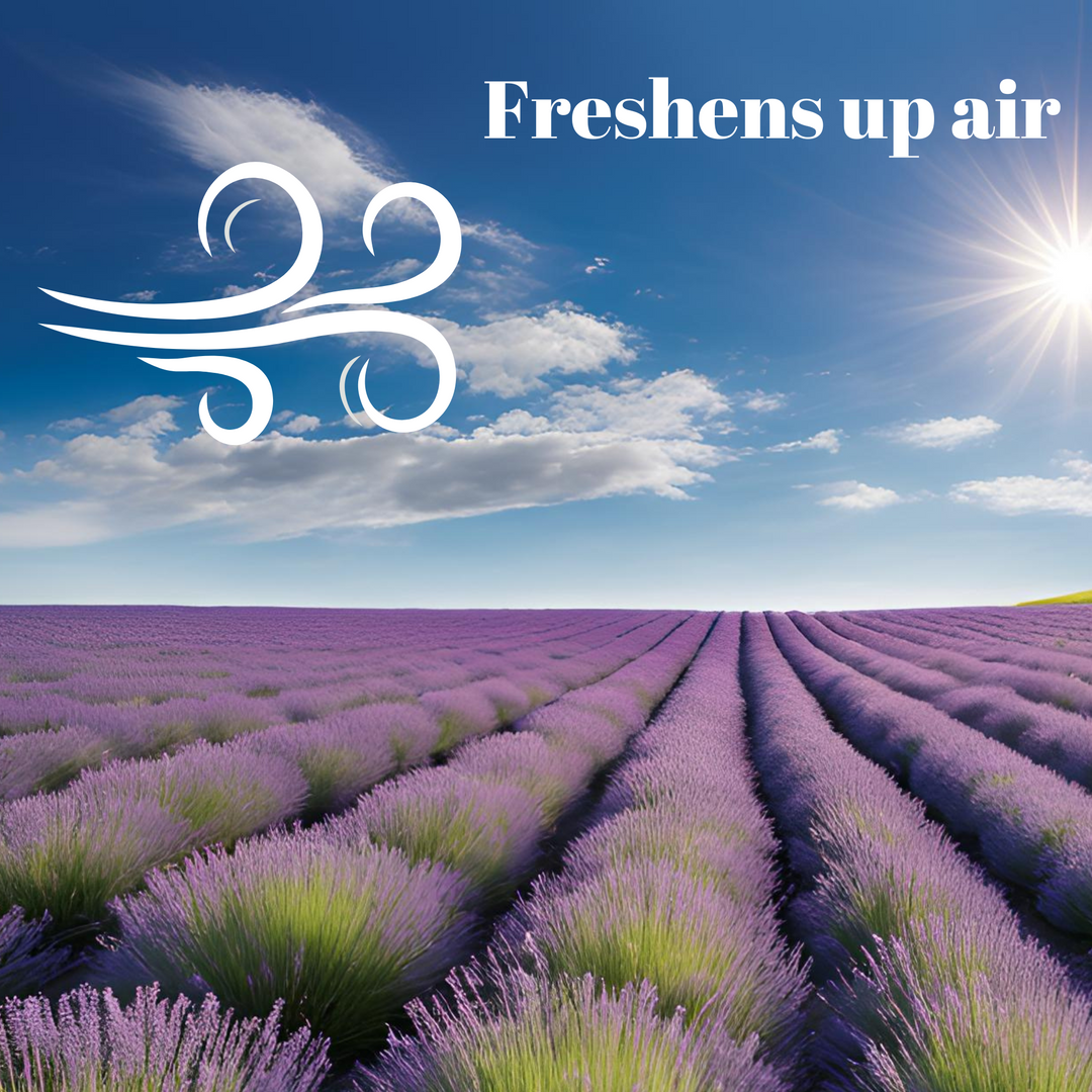 Forest Lab Natural Air Freshener | Lavender & Rosemary Pure Essential Oils | Chemical Free | Child & Pet Friendly