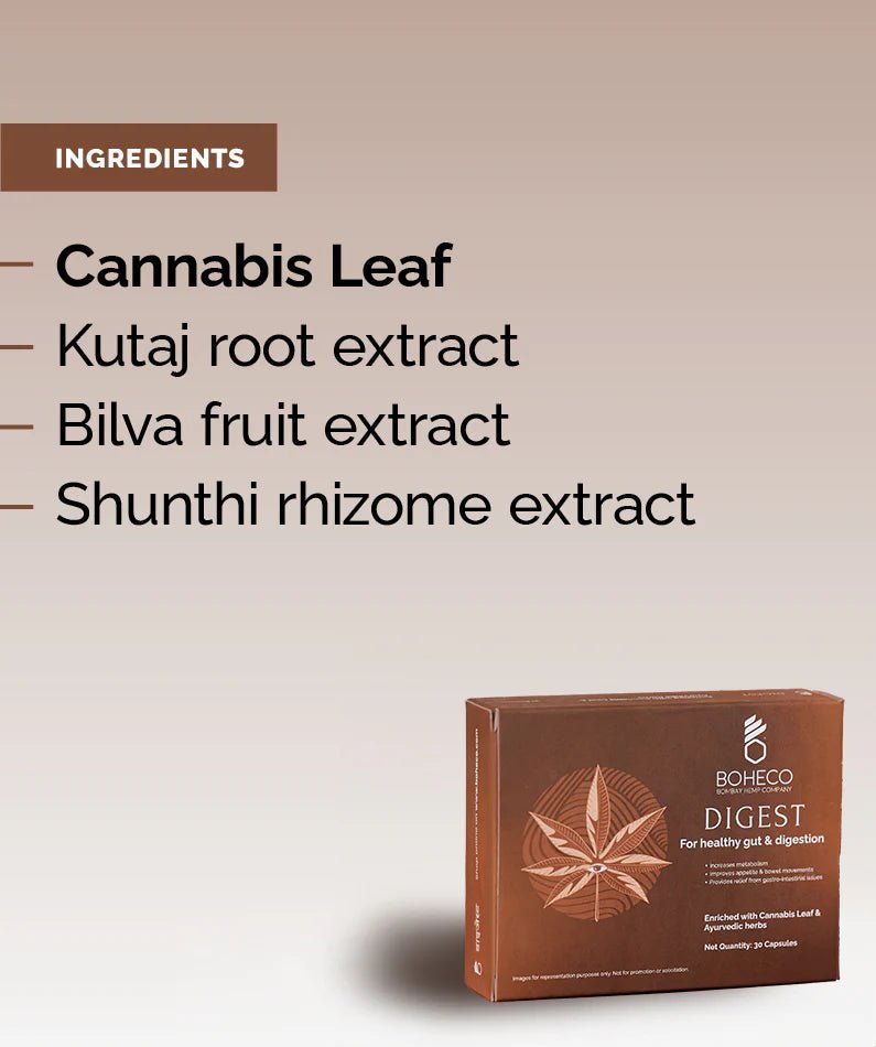 Boheco DIGEST For Healthy Gut & Digestion - Suspire