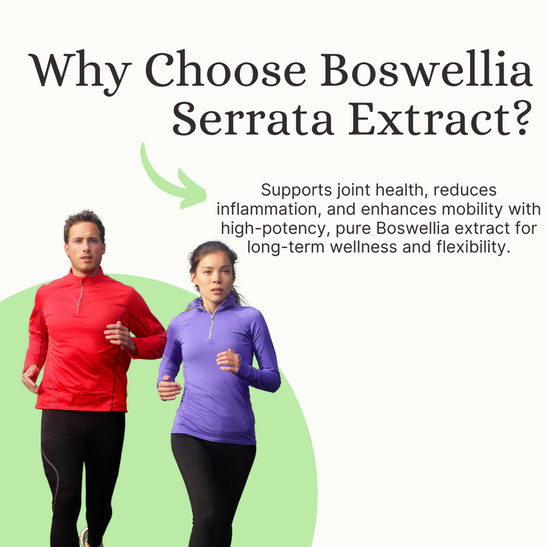 Boswellia Serrata Extract 450mg | Bone & Joint Health | 60 Veg Capsules