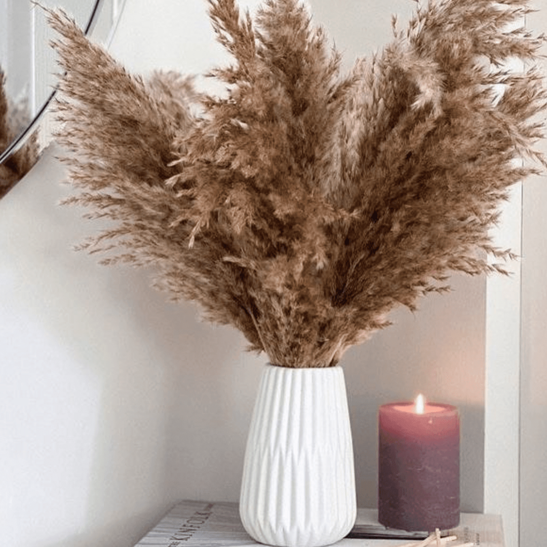 Brown Pampas Grass XL – Set of 10 Stems | Large Dried Flowers Pampas for Vase Decor.