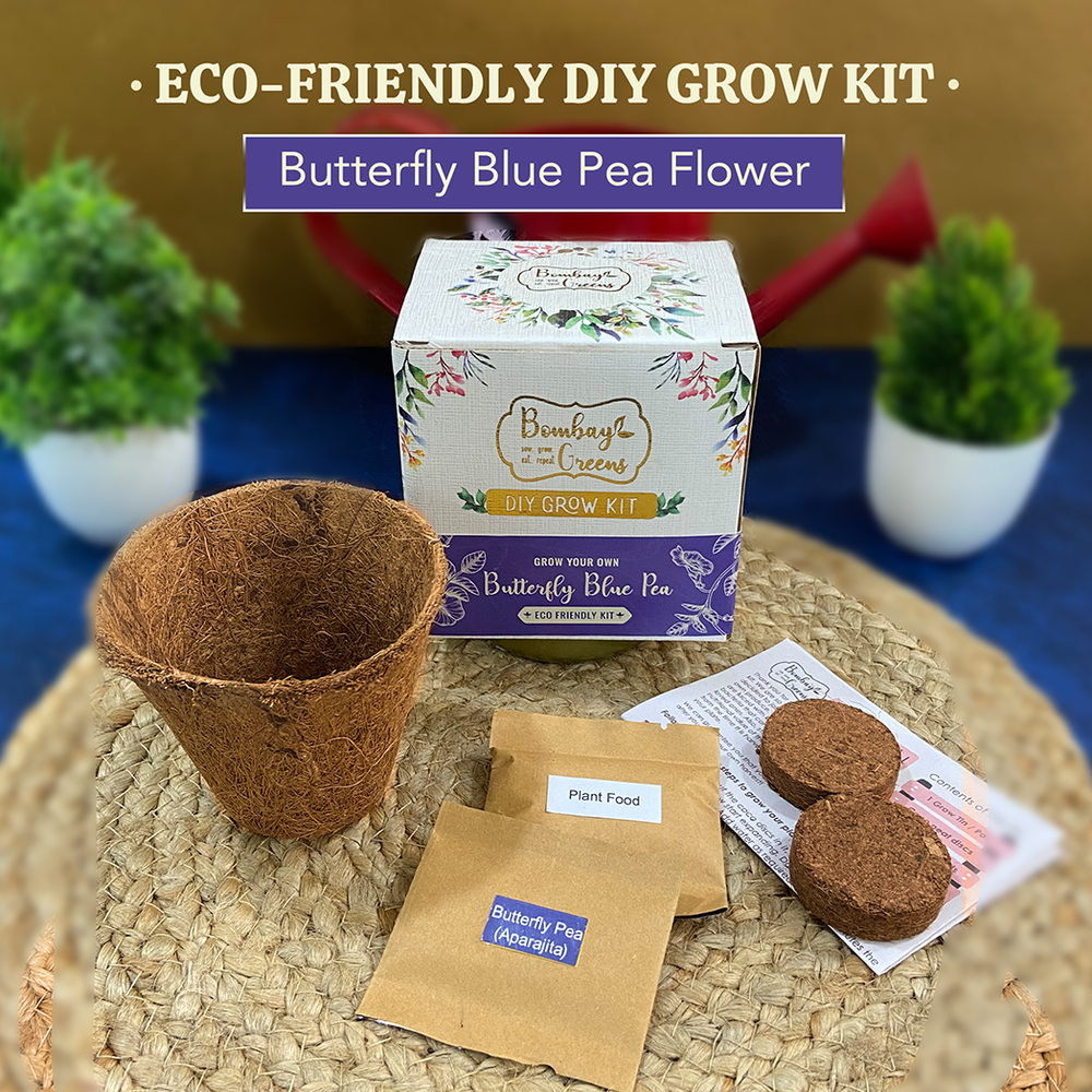 Bombay Greens Eco-Friendly Grow Kit - Butterfly Pea Flower