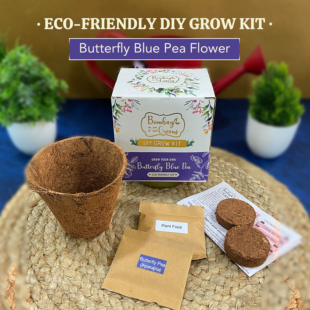 Bombay Greens Eco-Friendly Grow Kit - Butterfly Pea Flower