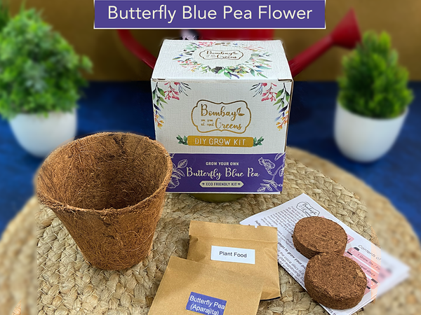 Bombay Greens Eco-Friendly Grow Kit - Butterfly Pea Flower