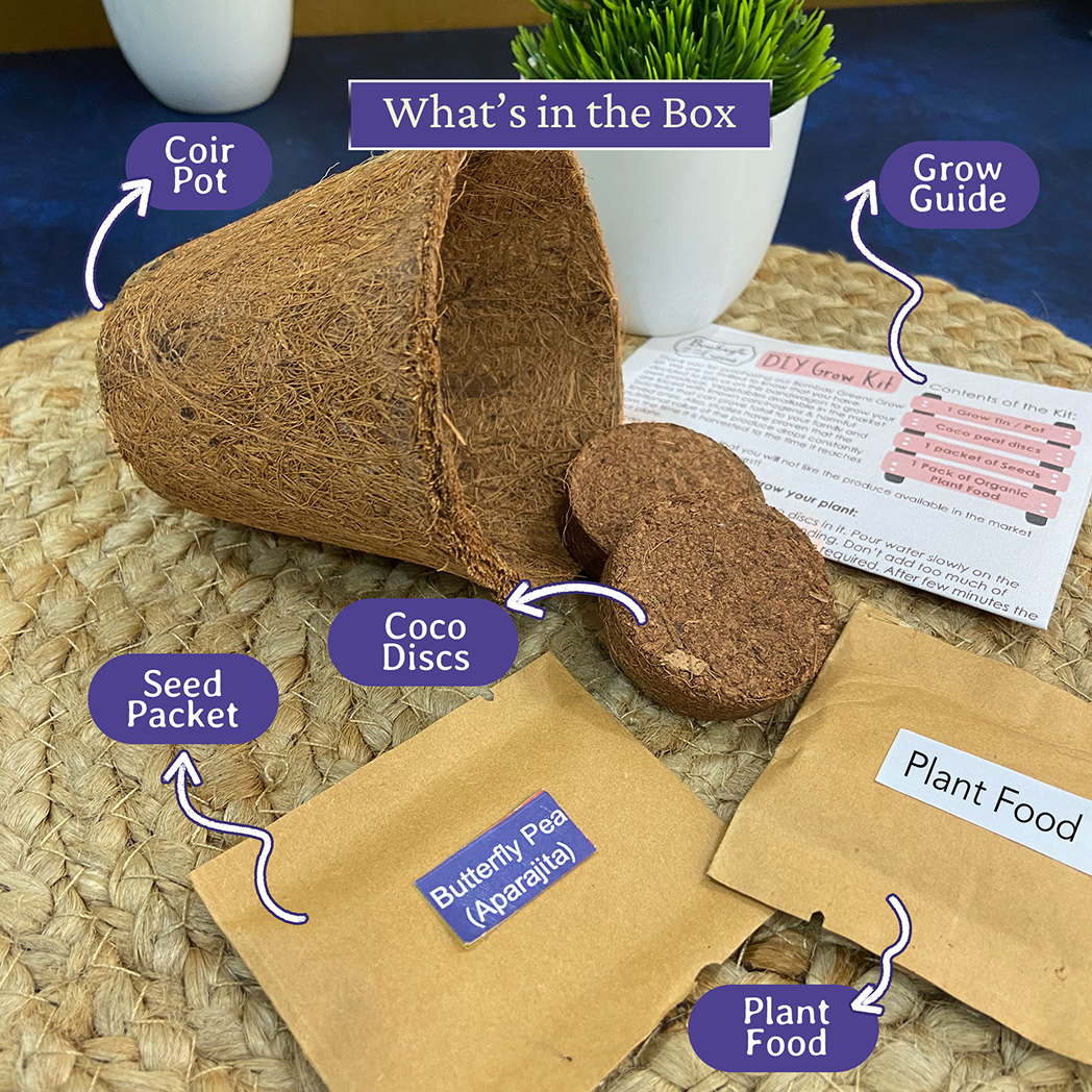 Bombay Greens Eco-Friendly Grow Kit - Butterfly Pea Flower