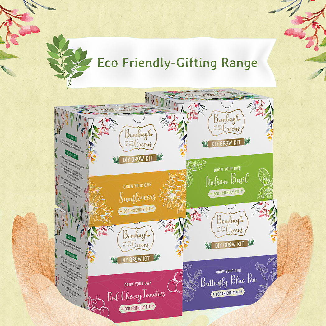 Bombay Greens Eco-Friendly Grow Kit - Butterfly Pea Flower