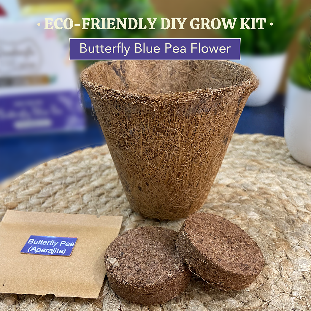 Bombay Greens Eco-Friendly Grow Kit - Butterfly Pea Flower