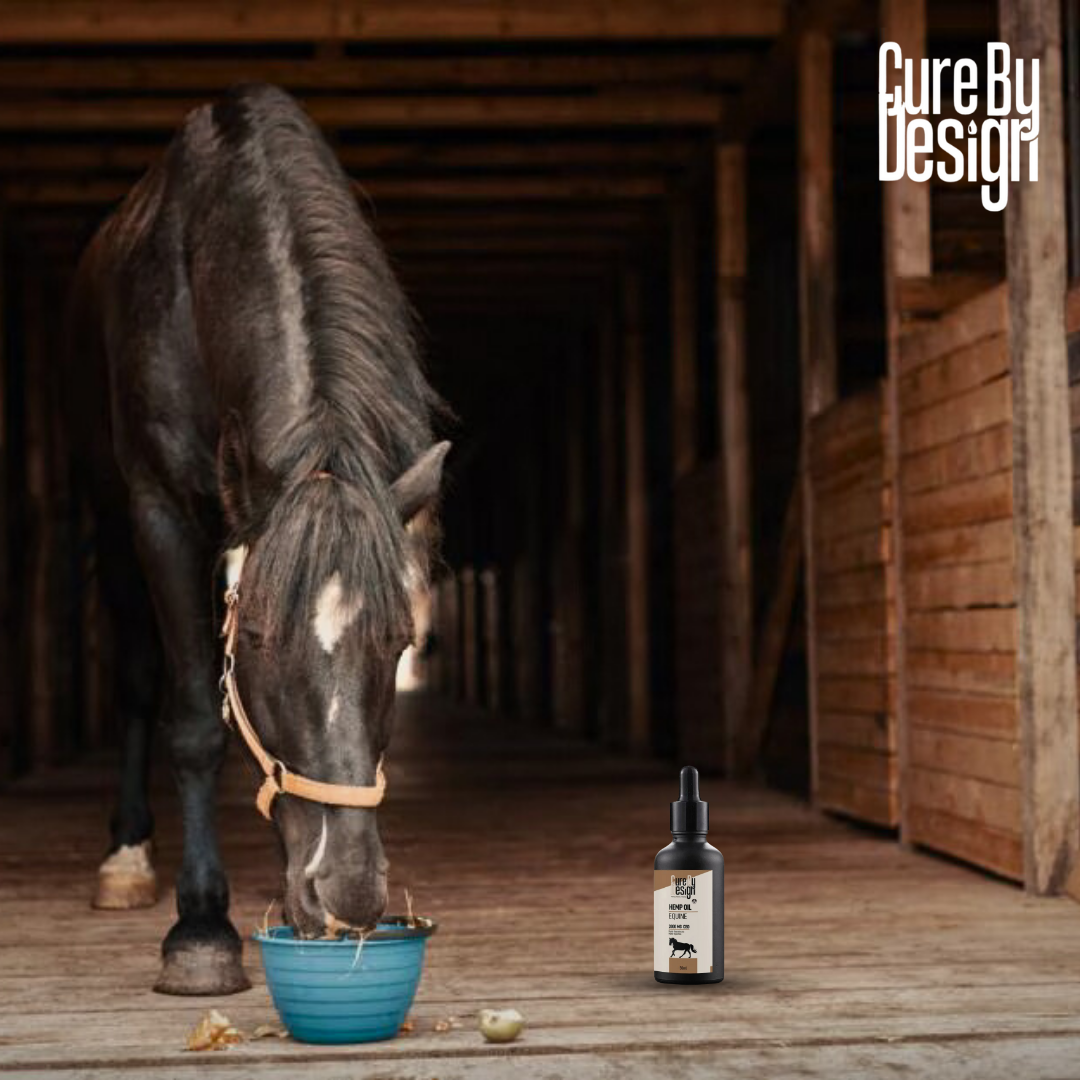 horse calming Product Price .png