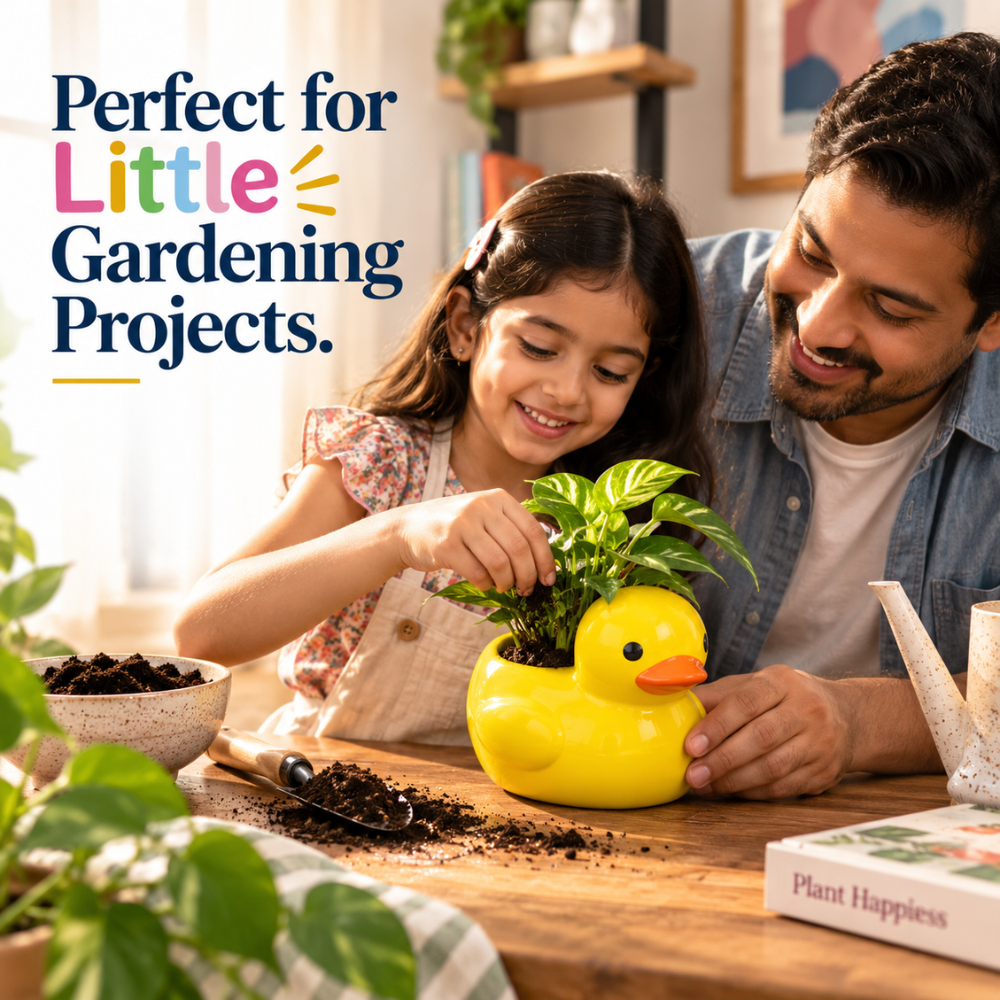 Planter Painting Kit - Duck