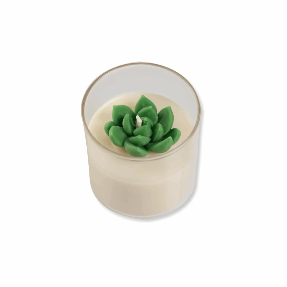 Skinvest Luxury handcrafted scented soy candles