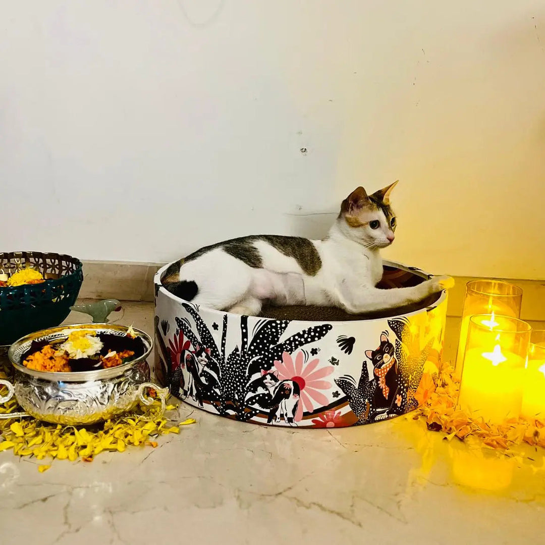 The Bella Scratch Bed - Groovy Cats