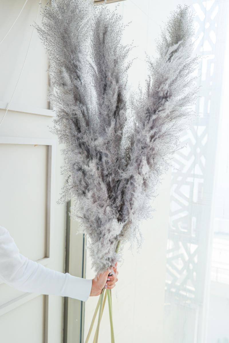 Imported Charcoal Pampas XL Set of 5 Stems for Home Decor | Arte Casa