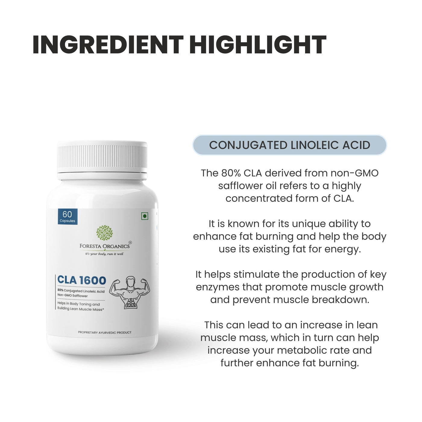 CLA 1600 Vegan with 80% Conjugated Linoleic Acid - 60 Capsules