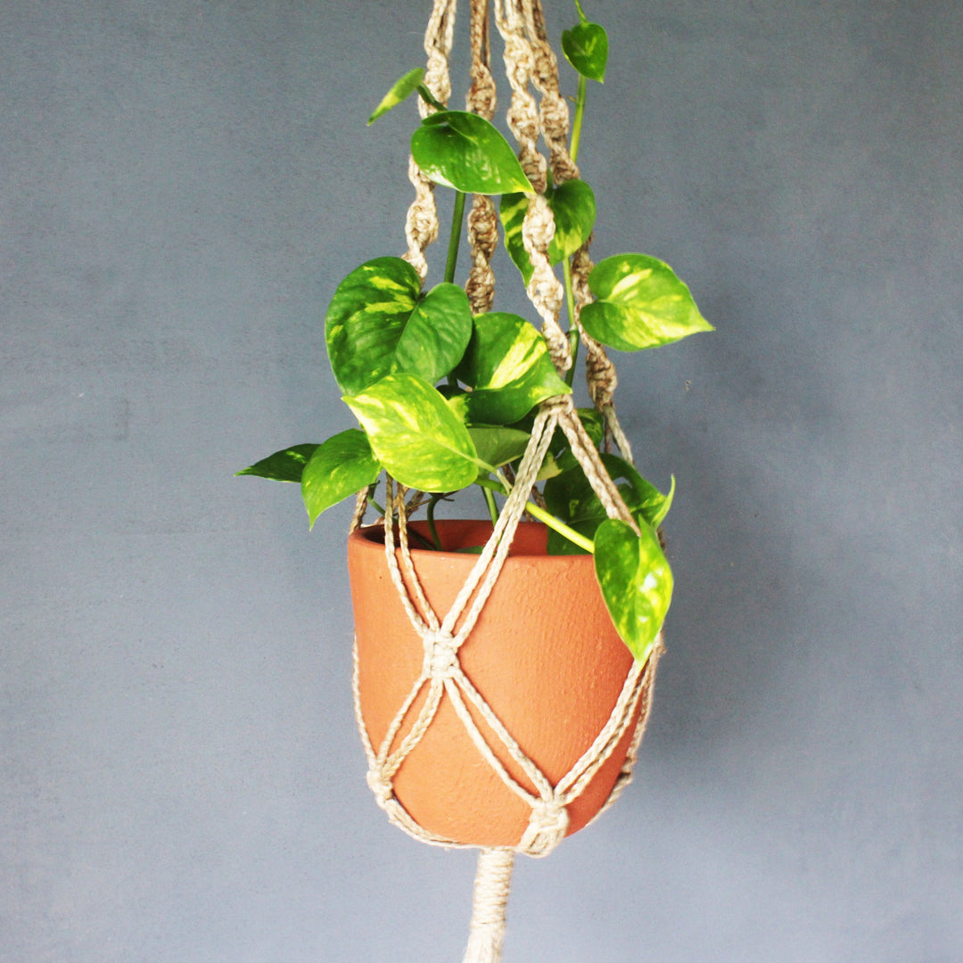 CLASSIC Terracotta Planter with Jute Macrame Hanger Design 2 - Suspire