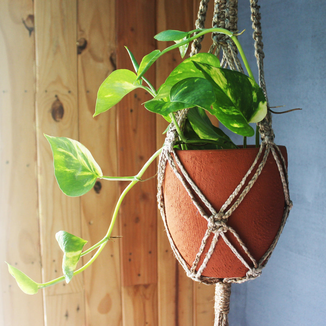 CLASSIC Terracotta Planter with Jute Macrame Hanger Design1 - Suspire
