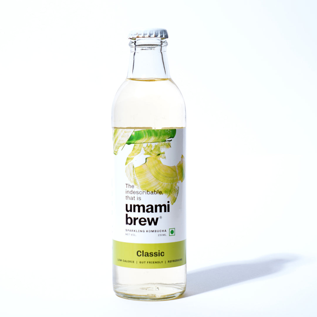 Umami Brew Classic Sparkling Kombucha (Pack of 6)