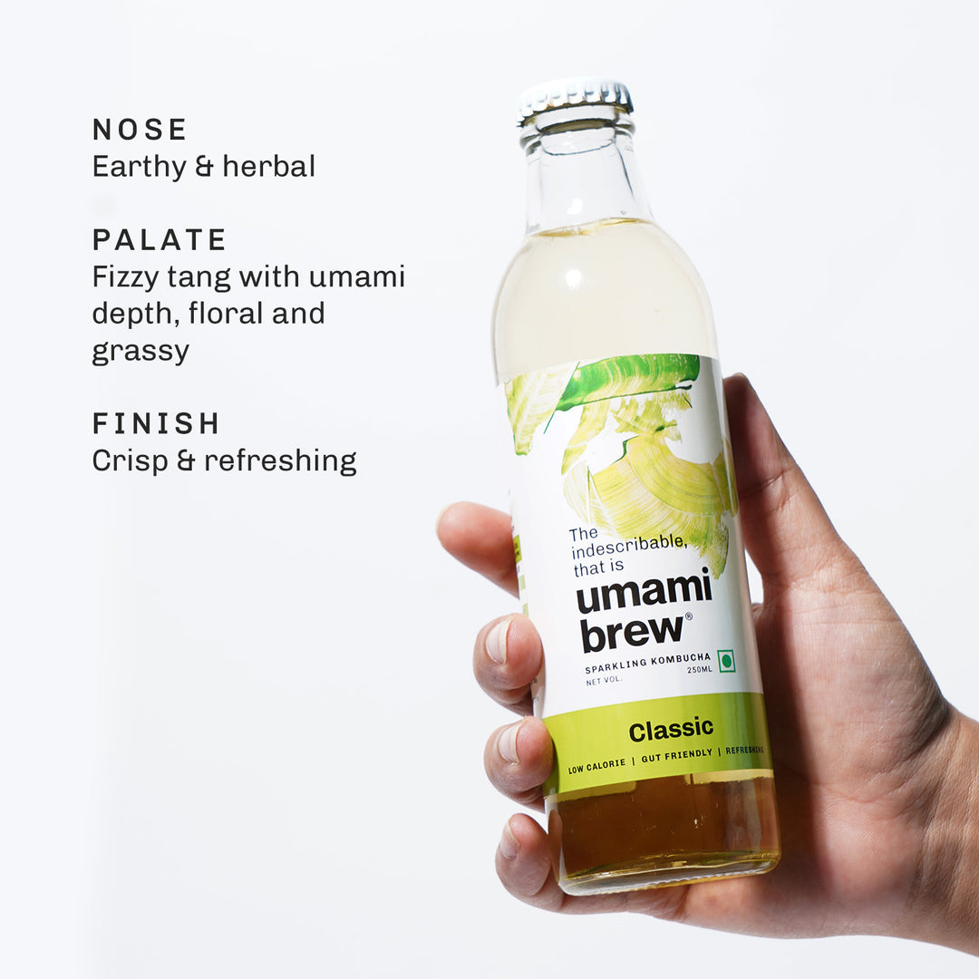 Umami Brew Classic Sparkling Kombucha (Pack of 6)