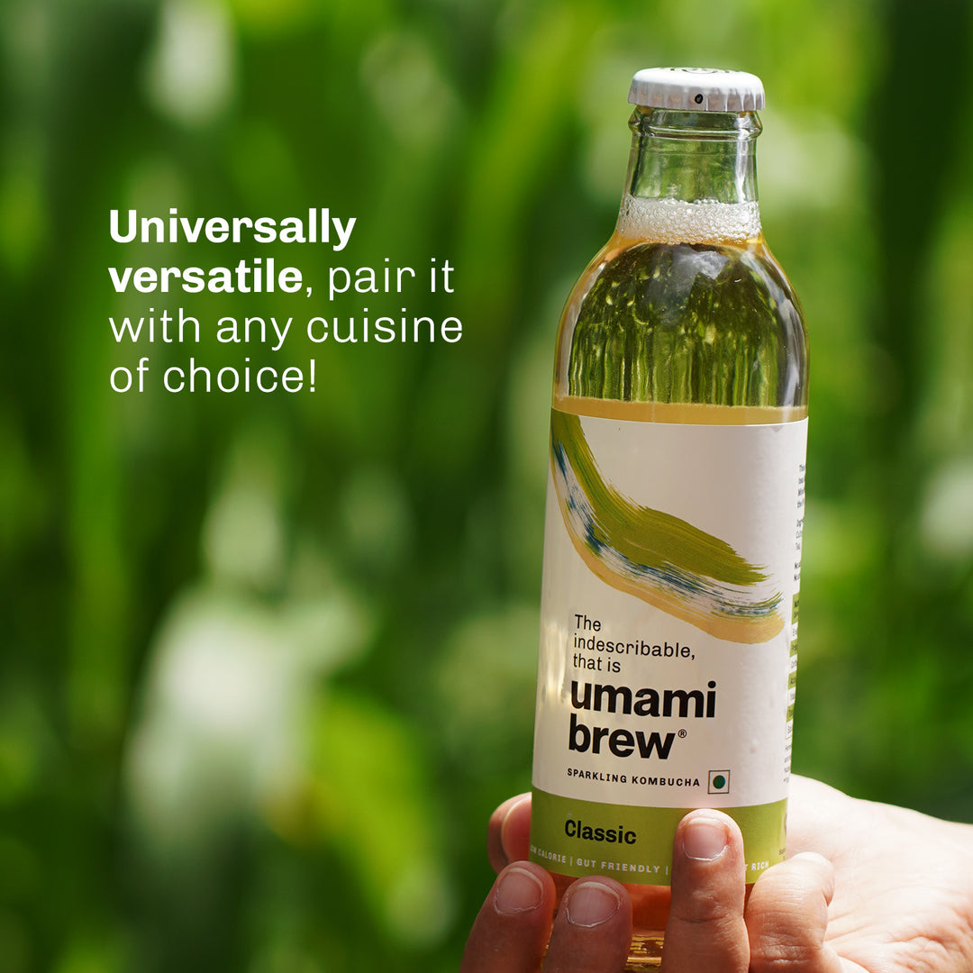 Umami Brew Classic Sparkling Kombucha (Pack of 6)