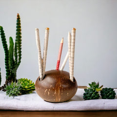 Coconut Shell Pen stand