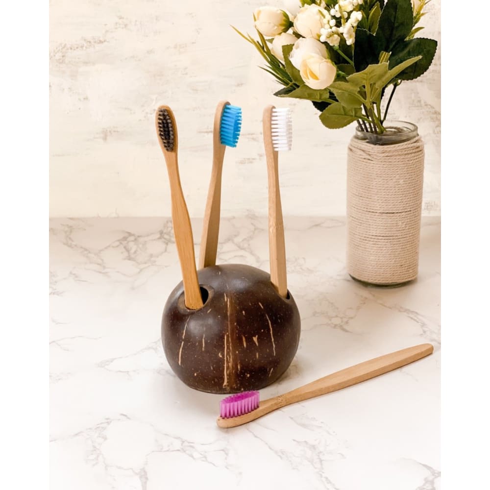 ONEarth Coconut Shell Toothbrush Holder