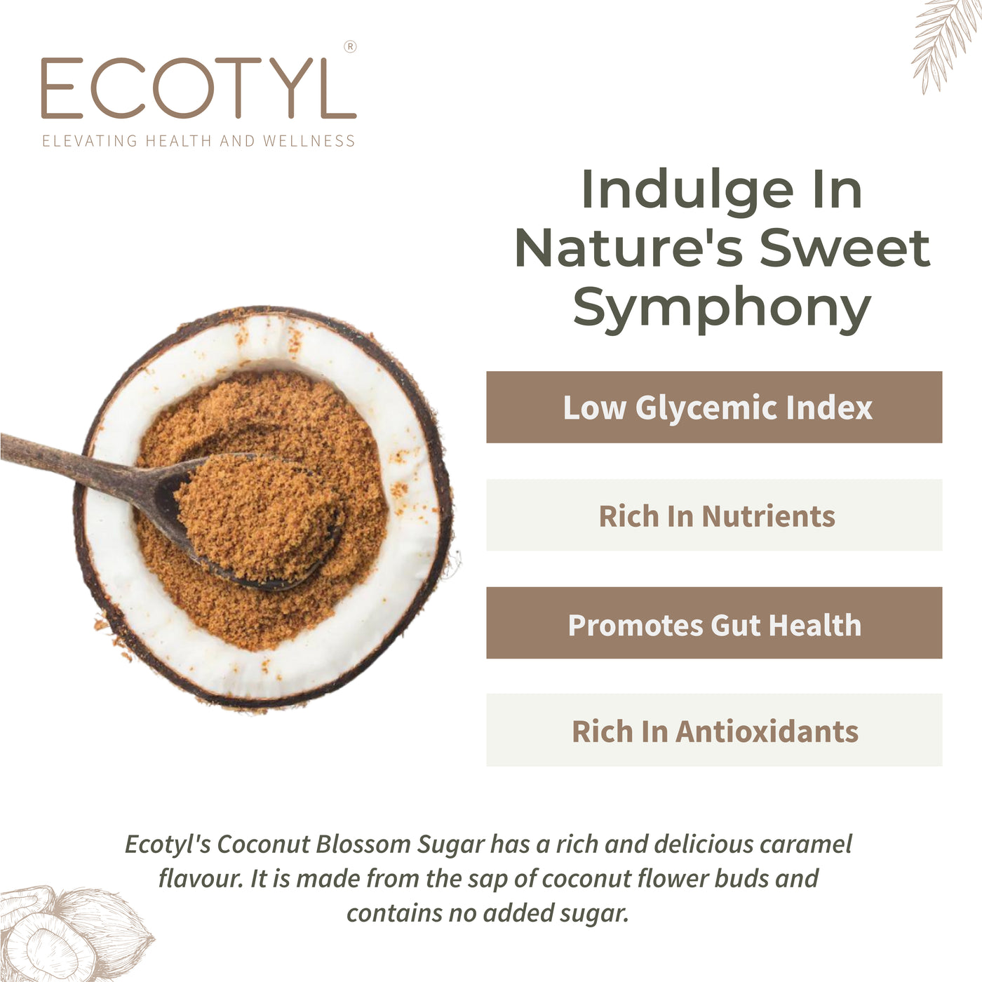 Ecotyl Coconut Sugar | Blossom Sugar | Natural Sweetener | 300g